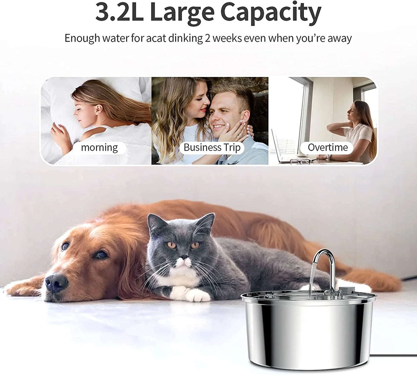 Paw Bureau™ Pet Water Fountain