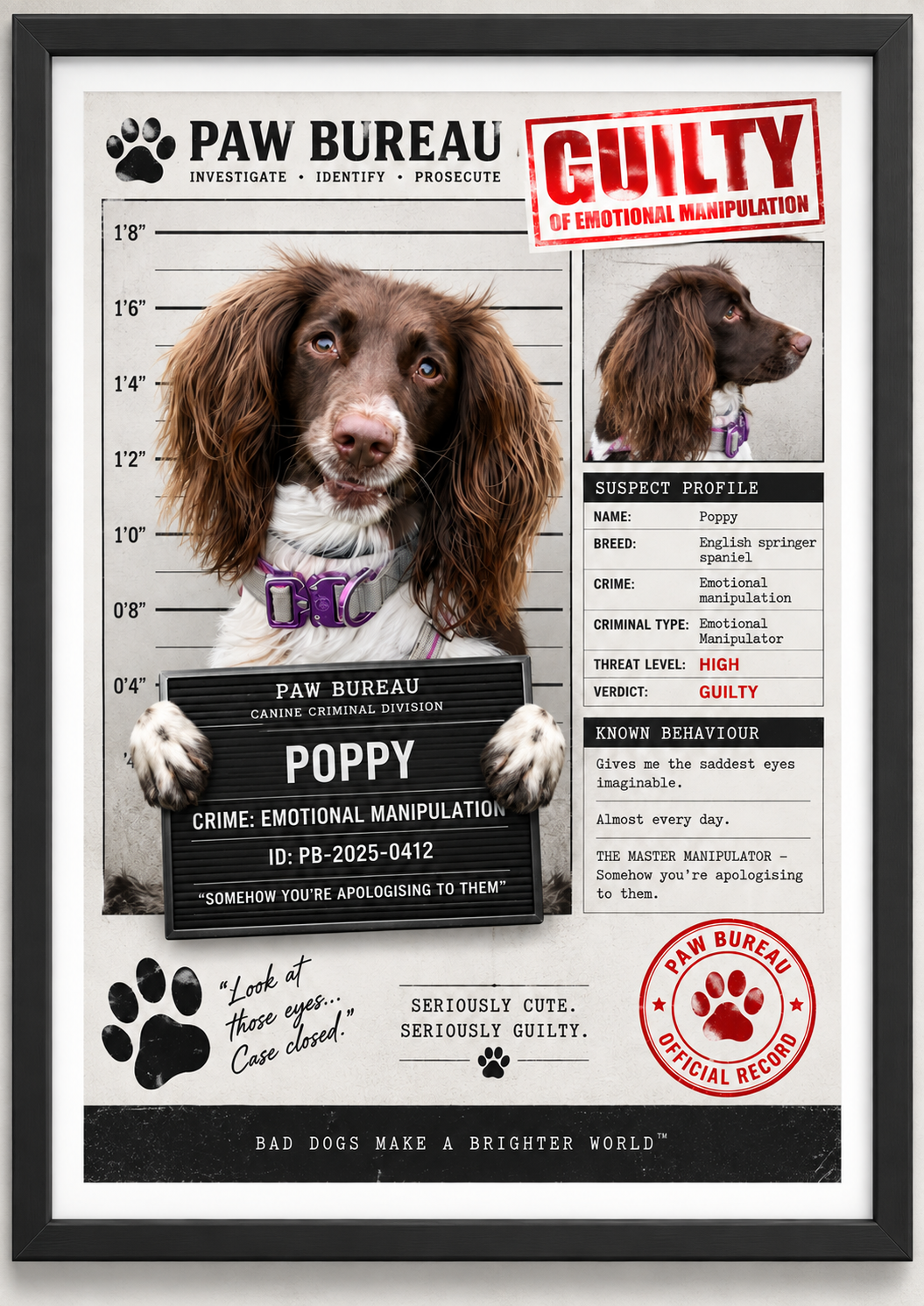 Example Paw Bureau Pet Crime File